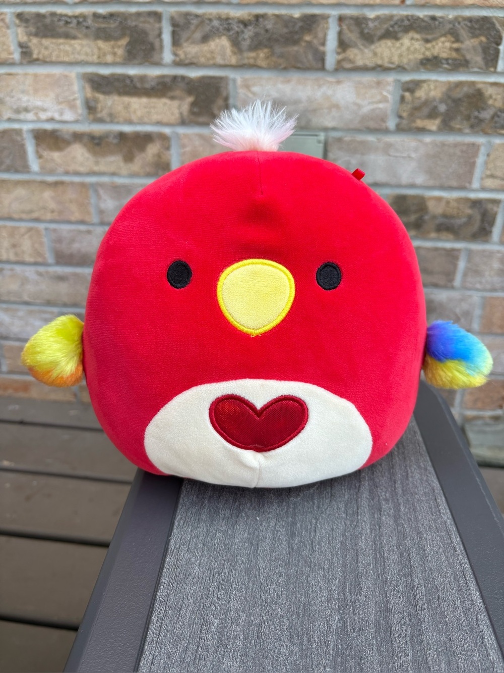 Squishmallows 8” Paco the Parrot (Canadian Exclusive) Plush